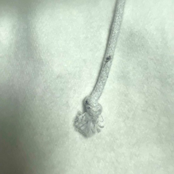 BNWT Champion Reverse Weave Park City Distressed Hoodie Unisex/Men’s M - Picture 9 of 16